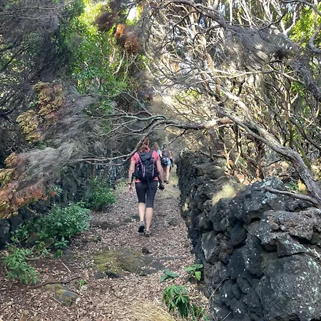 Tatil Evi Casa Do Carregadouro - Seaside Retreat São Roque do Pico